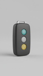 Porsche OEM Branded Key Fob Case
